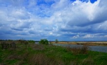 Огромный жернов на кладбище в Кузнецовке.