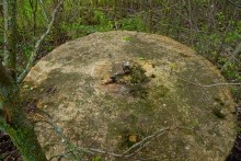 Огромный жернов на кладбище в Кузнецовке.