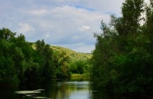 Лето в долине Сухого Донца