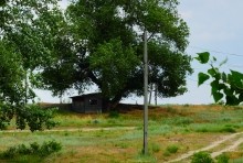 Лето в долине Сухого Донца