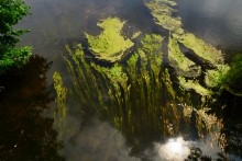 Лето в долине Сухого Донца