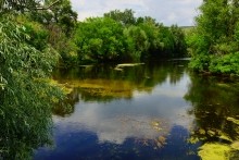 Лето в долине Сухого Донца