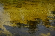 Лето в долине Сухого Донца