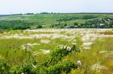 Белокаменная церковь Божией Матери Одигитрии в имении помещиков Карповых на обрывистых берегах реки Быстрой.