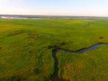 Остатки оборонительных сооружений в дельте Дона времен Крымской войны.