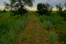 Остатки оборонительных сооружений в дельте Дона времен Крымской войны.