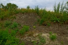 Остатки оборонительных сооружений в дельте Дона времен Крымской войны.