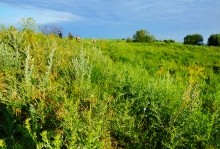 Остатки оборонительных сооружений в дельте Дона времен Крымской войны.