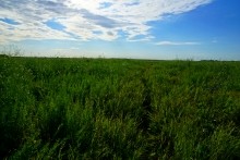 Остатки оборонительных сооружений в дельте Дона времен Крымской войны.