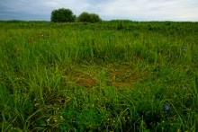 Остатки оборонительных сооружений в дельте Дона времен Крымской войны.