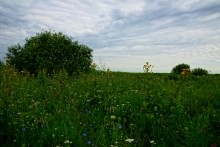 Остатки оборонительных сооружений в дельте Дона времен Крымской войны.