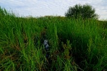 Остатки оборонительных сооружений в дельте Дона времен Крымской войны.