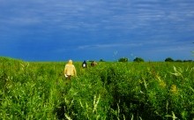 Остатки оборонительных сооружений в дельте Дона времен Крымской войны.