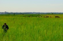 Остатки оборонительных сооружений в дельте Дона времен Крымской войны.