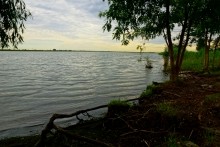 Остатки оборонительных сооружений в дельте Дона времен Крымской войны.