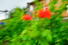 Пухляковская картинная галерея