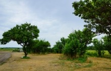 Лечебная грязь озера Пелёнкино в долине Кагальника