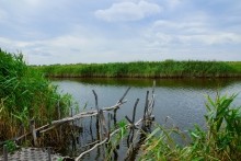 Лечебная грязь озера Пелёнкино в долине Кагальника