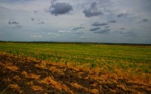 Лечебная грязь озера Пелёнкино в долине Кагальника