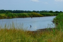 Лечебная грязь озера Пелёнкино в долине Кагальника