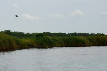 Лечебная грязь озера Пелёнкино в долине Кагальника