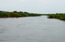 Лечебная грязь озера Пелёнкино в долине Кагальника