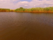 Лечебная грязь озера Пелёнкино в долине Кагальника