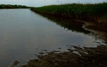 Лечебная грязь озера Пелёнкино в долине Кагальника