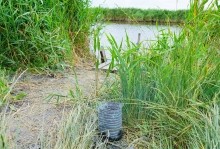 Лечебная грязь озера Пелёнкино в долине Кагальника