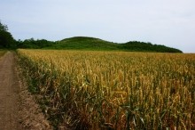 Курган Острая могила