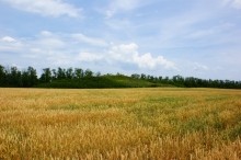 Курган Острая могила