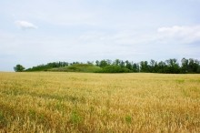 Курган Острая могила