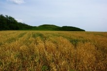 Курган Острая могила