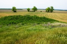 Курган Острая могила