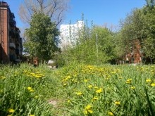 Старый дом на Сельмаше