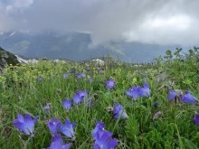 Поиск бойцов погибших в 1942 г. на Санчарском перевале