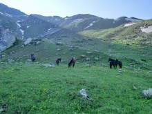 Поиск бойцов погибших в 1942 г. на Санчарском перевале