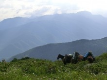 Поиск бойцов погибших в 1942 г. на Санчарском перевале