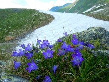 Поиск бойцов погибших в 1942 г. на Санчарском перевале