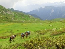 Поиск бойцов погибших в 1942 г. на Санчарском перевале