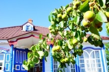 Усадьба Семена Захаровича Пискунова в хуторе Хоботок.