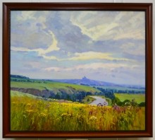 Мишкинские бугры