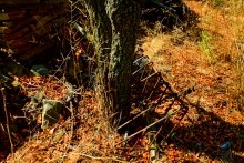 Хутор Западной у скалы на Северском Донце