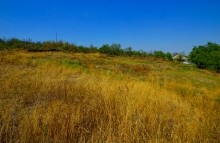 Хутор Западной у скалы на Северском Донце