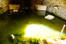 Аксайский рыбоспетный завод Кацупеева