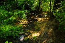 Аксайский рыбоспетный завод Кацупеева