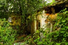 Аксайский рыбоспетный завод Кацупеева