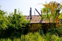 Аксайский рыбоспетный завод Кацупеева