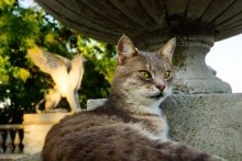 Боспор киммерийский, керченский пролив.