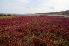 Боспор киммерийский, керченский пролив.